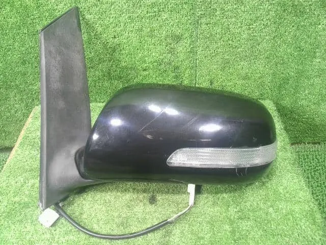 Toyota Wish 2004 Left Side Door Mirror